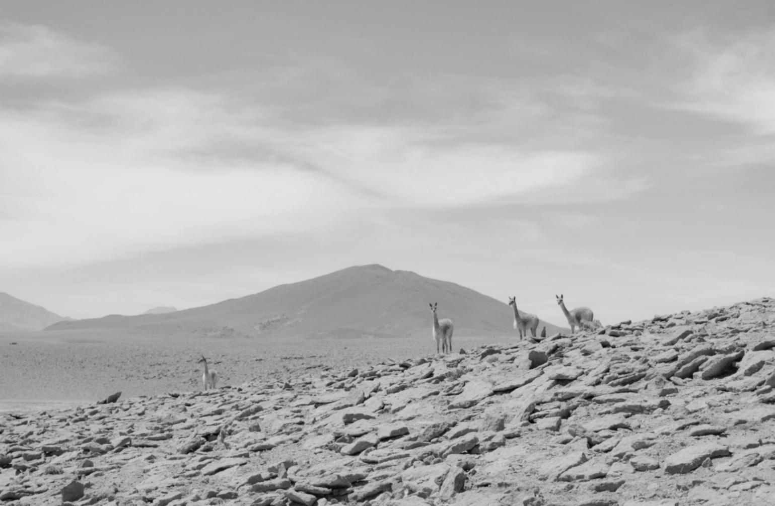 Группа участников экскурсии в историческом центре города